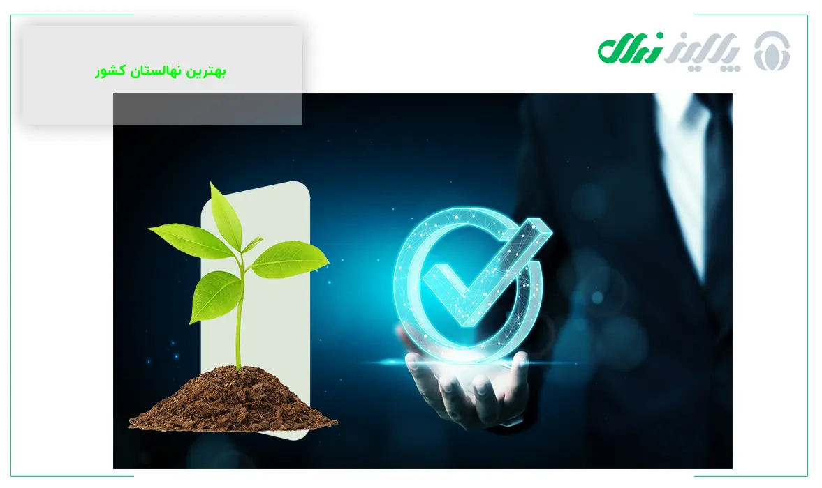 رکورد دار تولید نهال در کشور