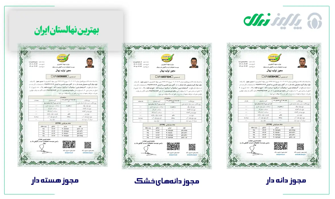 تولید نهال برتر